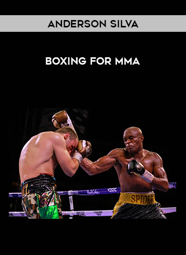 Anderson Silva - Boxing for MMA download