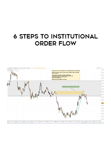 6 Steps To Institutional Order Flow download