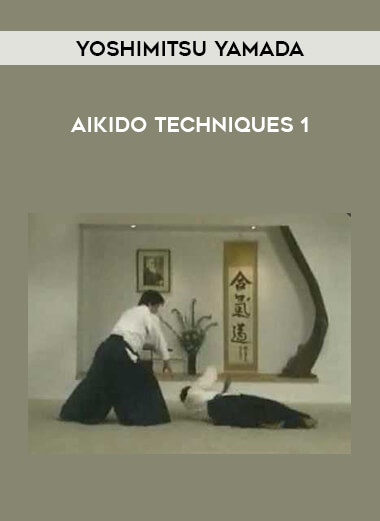 Yoshimitsu Yamada - Aikido techniques 1 download