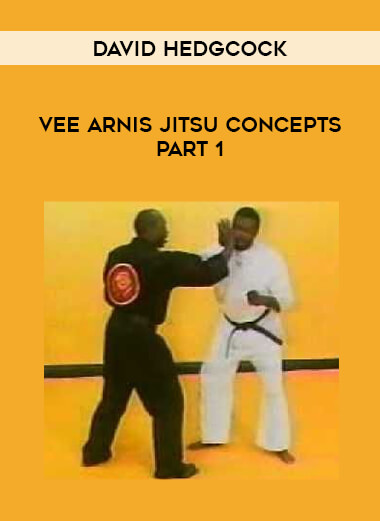 David James - Vee Arnis Jitsu Concepts Part 1 download