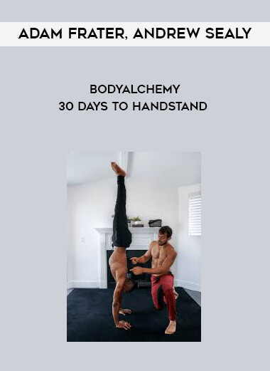 Andrew Sealy - Bodyalchemy - 30 Days To Handstand download