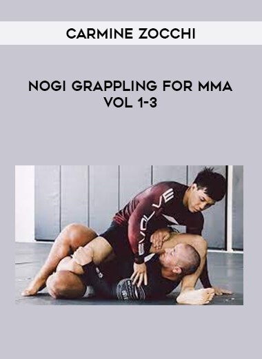 Carmine Zocchi-Nogi Grappling for MMA Vol 1-3 download