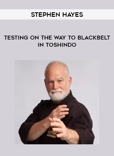 Stephen Hayes - Testing on the Way to Blackbelt in Toshindo download