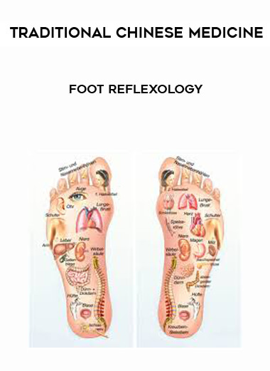 Traditional Chinese Medicine - Foot Reflexology download