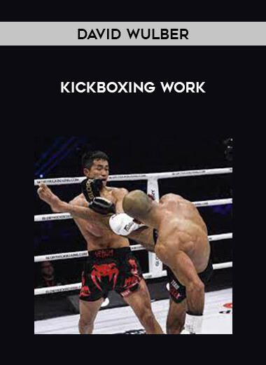 David Wulber-KICKBOXING WORK download