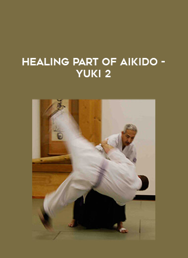 Healing part of Aikido - Yuki 2 download