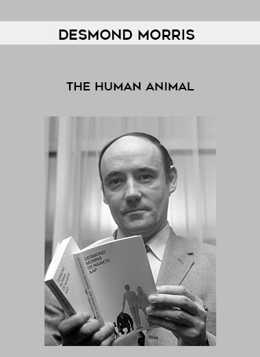 Desmond Morris - The Human Animal download