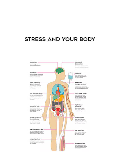 Stress and Your Body download