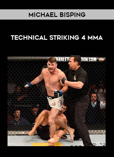 Michael Bisping - Technical Striking 4 MMA download