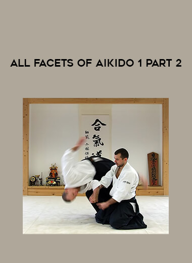 All facets of Aikido 1 part 2 download