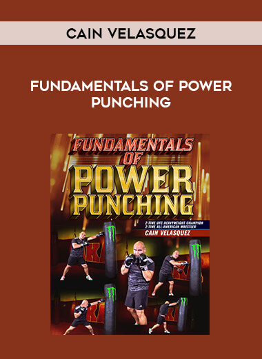 Cain Velasquez - Fundamentals of Power Punching download