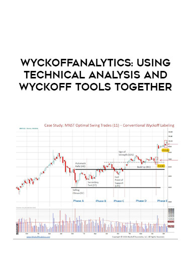 Wyckoffanalytics: Using Technical Analysis and Wyckoff Tools Together download