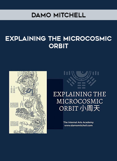 Damo Mitchell - Explaining The Microcosmic Orbit download