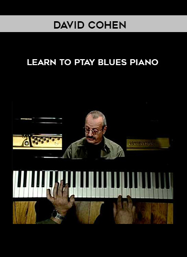 David Cohen - Learn To Ptay Blues Piano download