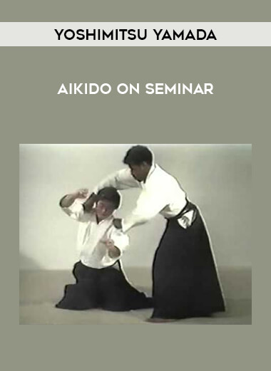 Yoshimitsu Yamada - Aikido on Seminar download
