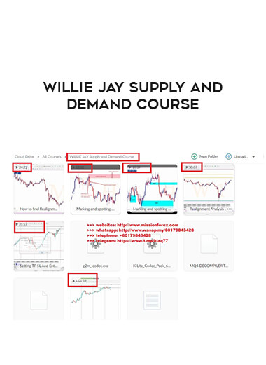 WILLIE JAY Supply and Demand Course download