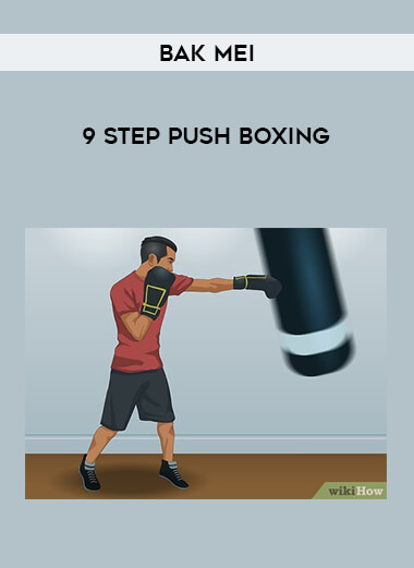 Bak Mei - 9 Step Push Boxing download