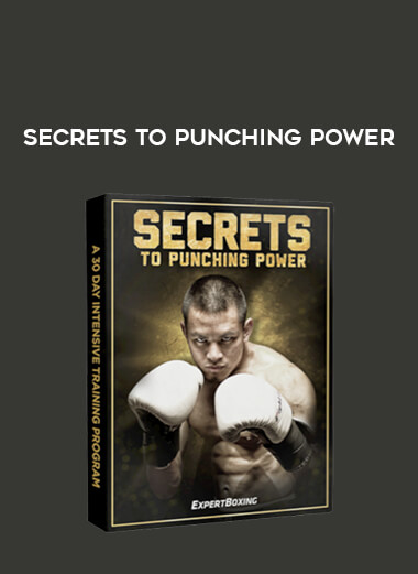Secrets To Punching Power download