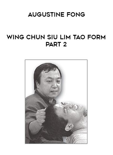 Augustine Fong - Wing Chun Siu Lim Tao Form Part 2 download