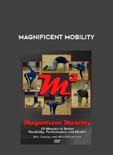 Magnificent Mobility download