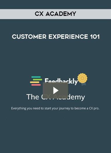 Customer experience 101 by CX Academy download