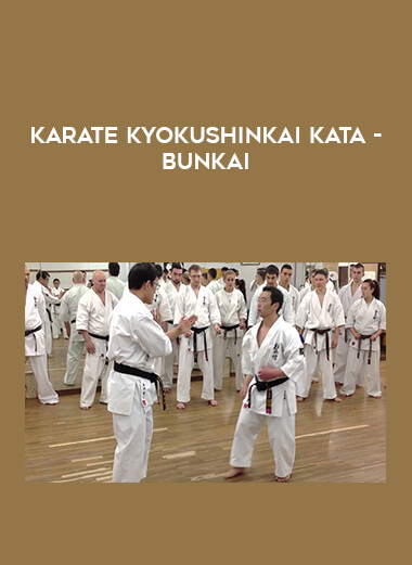 Karate Kyokushinkai Kata - Bunkai download