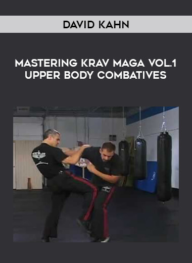 David Kahn - Mastering Krav Maga Vol.1 Upper Body Combatives download