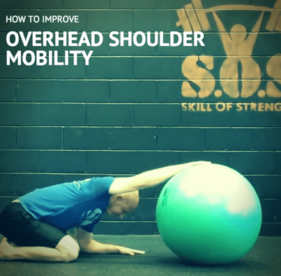 Mike Reinold - Inner Circle - How to Improve Overhead Shoulder Mobility download