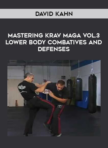 David Kahn - Mastering Krav Maga Vol.3 Lower Body Combatives and Defenses download