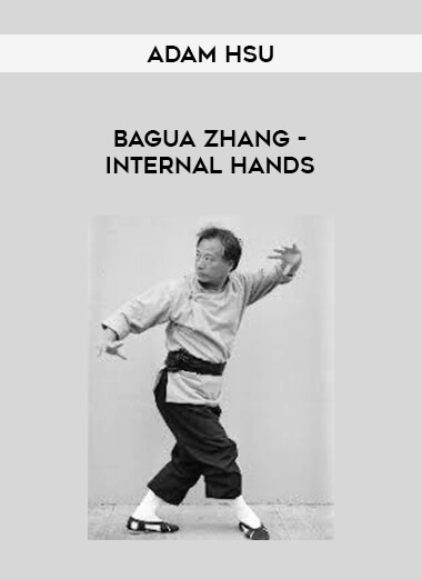 Adam Hsu - Bagua Zhang - Internal hands download
