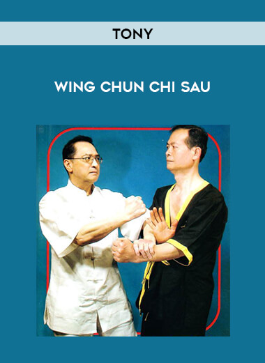 tony - wing chun chi sau download