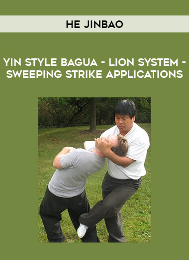 Yin Style Bagua - He Jinbao - Lion System - Sweeping Strike Applications download