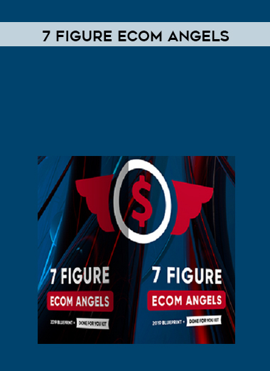 7 Figure Ecom Angels download