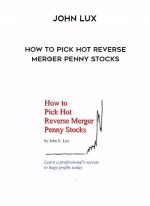 John Lux - How to Pick Hot Reverse Merger Penny Stocks download
