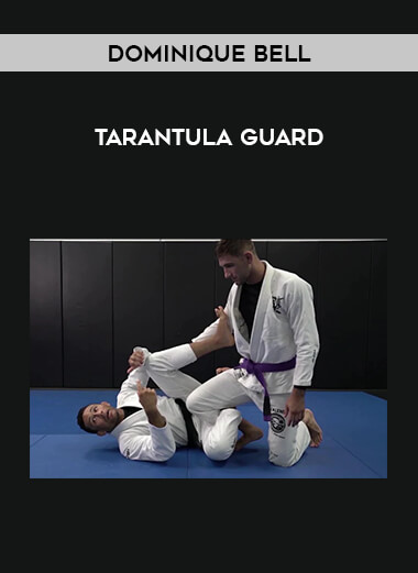 Dominique Bell - Tarantula Guard download