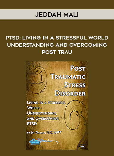Jef Gazley - PTSD: Living In a Stressful World - Understanding and Overcoming Post - Trau download