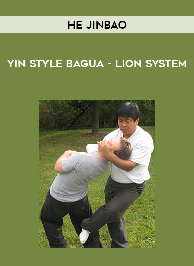 Yin Style Bagua - Lion System download