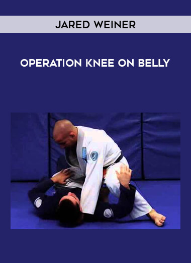 Jared Weiner - Operation knee on Belly download