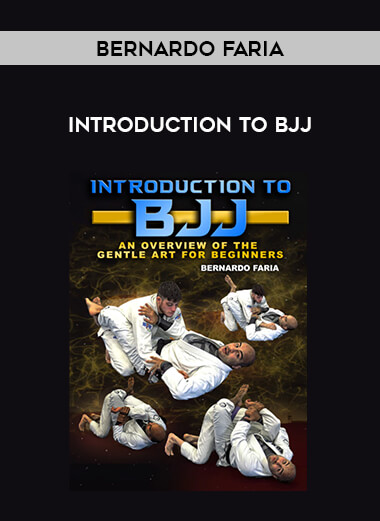 Bernardo Faria - Introduction To BJJ download