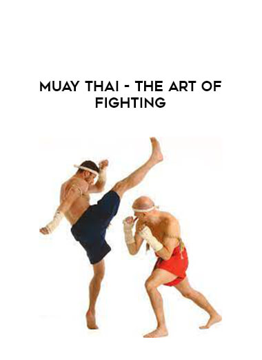 Muay Thai - The Art of Fighting download