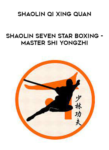Shaolin Qi Xing Quan - Shaolin Seven Star Boxing - Master Shi YongZhi download