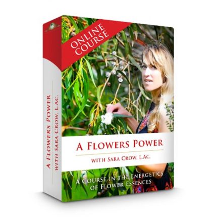 Sara Crow - A Flower's Power A Course In Flower Essences download
