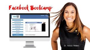Anissa Holmes - Facebook Bootcamp download