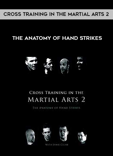 Cross Training in the Martial Arts 2 - The anatomy of hand strikes download