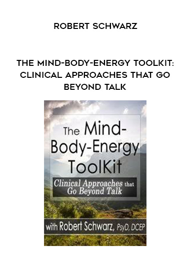 The Mind-Body-Energy ToolKit: Clinical Approaches that Go Beyond Talk - Robert Schwarz download