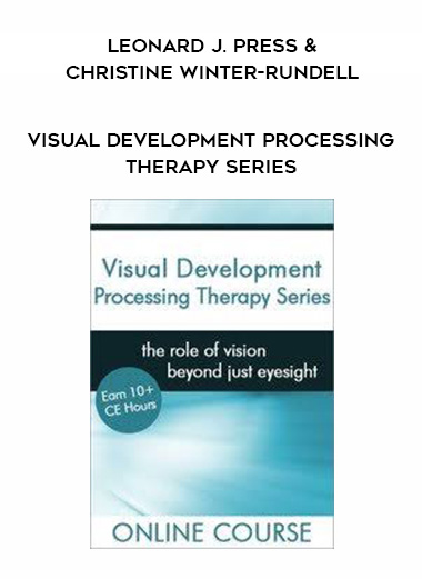 Visual Development Processing Therapy Series - Leonard J. Press & Christine Winter-Rundell download