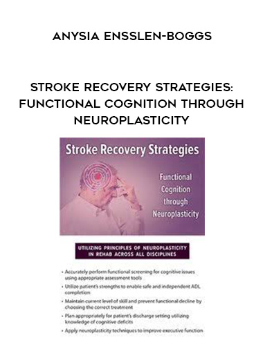 Stroke Recovery Strategies: Functional Cognition through Neuroplasticity - Anysia Ensslen-Boggs download