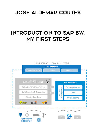 Jose Aldemar Cortes - Introduction to SAP BW: My first steps download