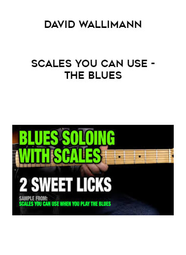 David Wallimann - SCALES YOU CAN USE - THE BLUES download