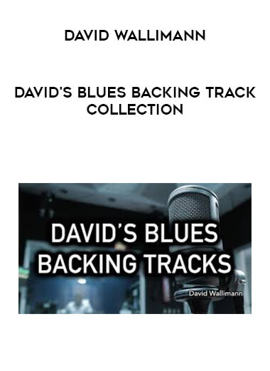 David Wallimann - DAVID'S BLUES BACKING TRACK COLLECTION download